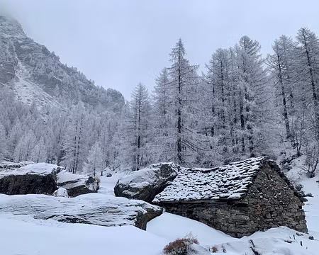 IMG_4840 Dimanche 13/03, très légère amélioration dans la visibilité