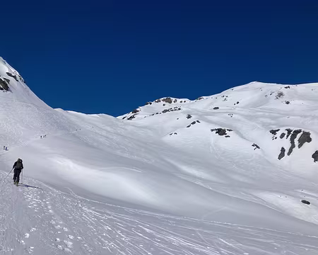 IMG_1159 6 mars, montée au col de Salenton, vers le Buet