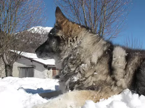 2011-02 Grisons - Suisse