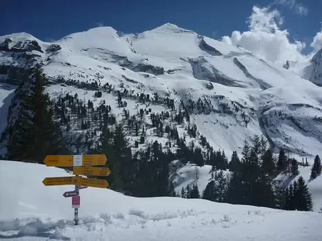 2019-04 Kandersteg Sylvaine B, détail sortie