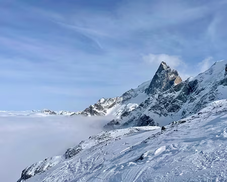 WhatsApp Image 2024-03-01 1