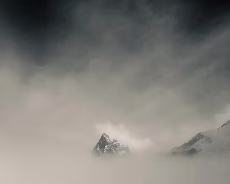 WhatsApp Image 2024-03-01 3