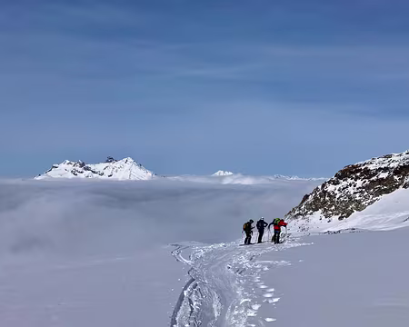 WhatsApp Image 2024-03-01 5