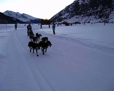 0009 la Transavoie, course d'attelage
