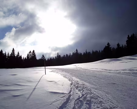 0011 La forêt du Massacre.