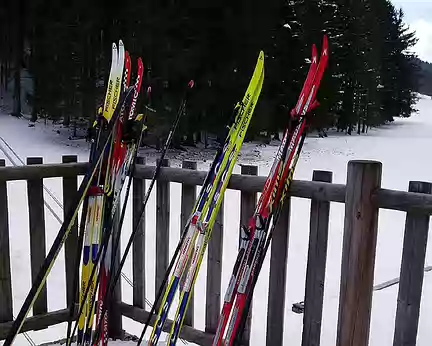 0029 Des skis bien gardés.