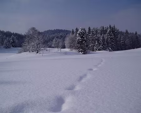 0011 Tous les jours un peu de neige fraîche.