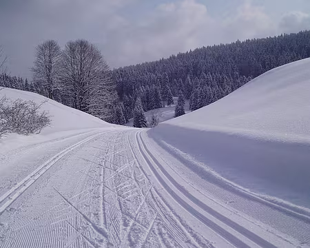 0012 La piste Lamoura - La Combe du Lac.