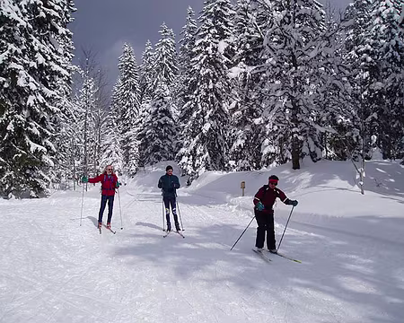 0016 Forêt du Massacre.
