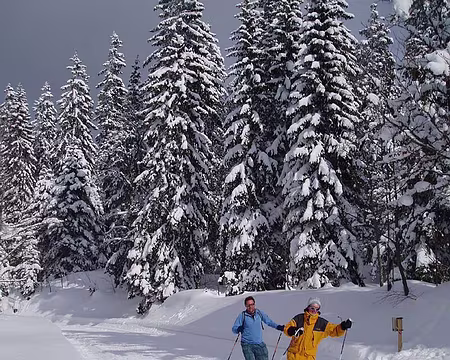 0018 Forêt du Massacre.