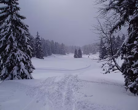 0021 Dans la Combe à la Chèvre. La neige arrive l'après-midi comme chaque jour.