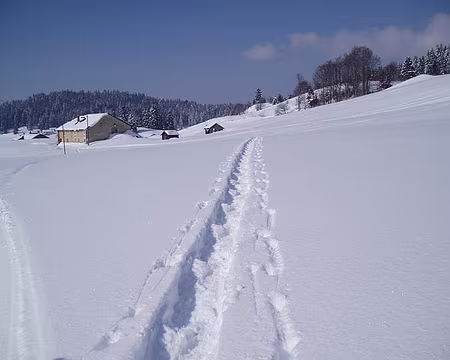 0026 Traces de raquettiste.