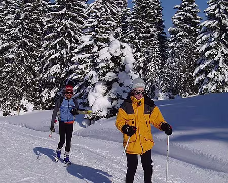 0028 Prêt pour le concours de chute ?
