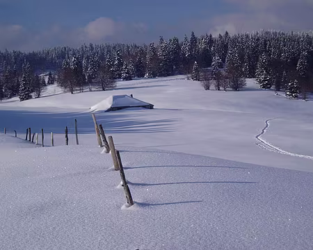 0039 Carrefour du Bois Vert.