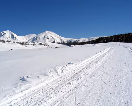 2005-02-Massif-Central-(11)