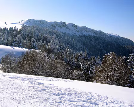 2005-02-Massif-Central-(19)z2721