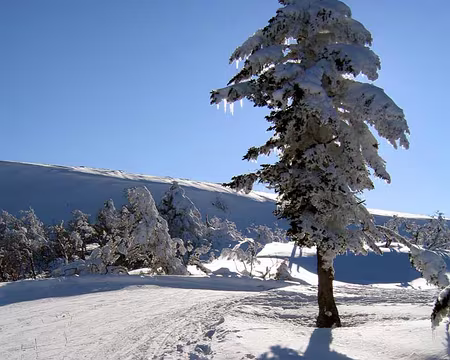 2005-02-Massif-Central-(21)