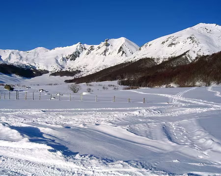 2005-02-Massif-Central-(26)