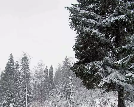 Chapelle 050 Jour de grosse neige, on a failli se perdre dans la tempête !