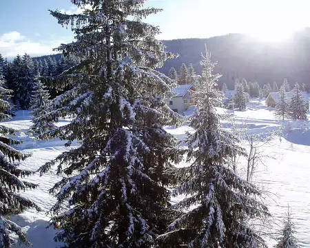 Chapelle 053 Le Jura c'est aussi les sapins.