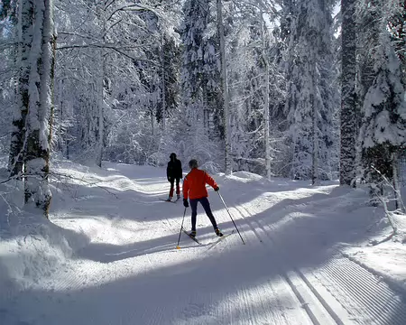 Chapelle 057 Sur Chalet Pin.