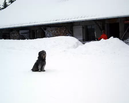 Chapelle 063 L'accueil à la Jaique.