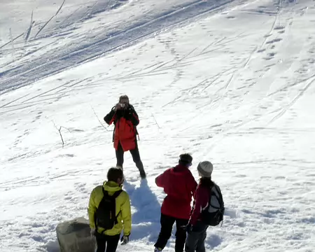 020 La véritable Borne au Lion