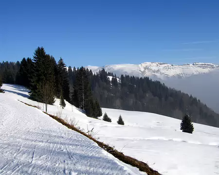 111 Les monts du Jura vus de la Borne aux Lions
