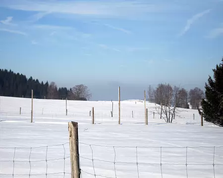 112 Diamands dans la neige