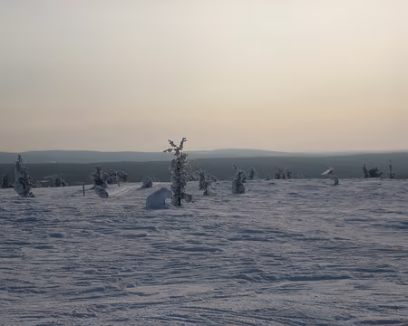 024 Au sommet du Kukas