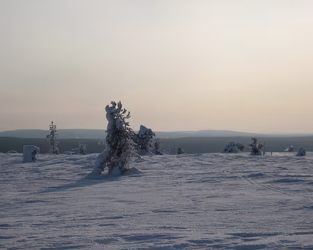 026 Au sommet du Kukas