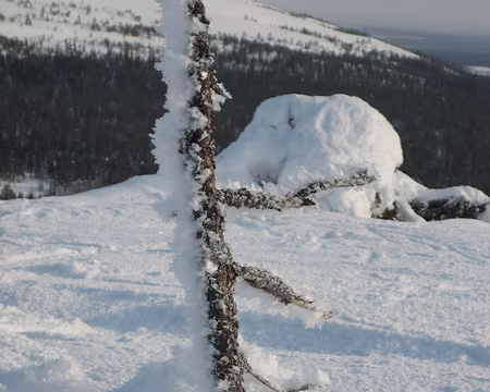 027 Au sommet du Kukas