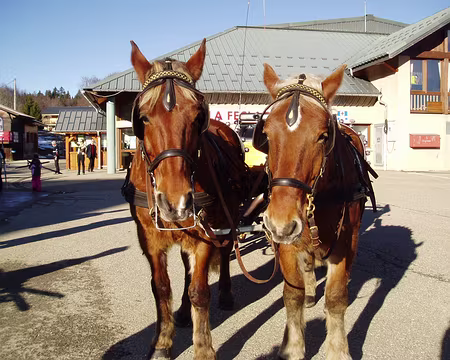 0007 Pour les skieurs à cheval.