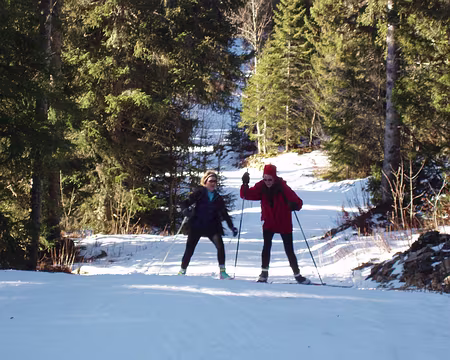 P1133594 et certaines papotent dans les montées