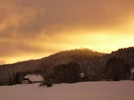 Bernadette Bernadette P, détail sortie