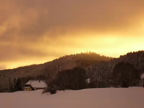 Bernadette Bernadette P, détail sortie