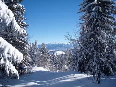 Florence Florence Le Priol, détail sortie