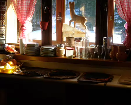 P1270031 Depuis des heures elles nous attirent