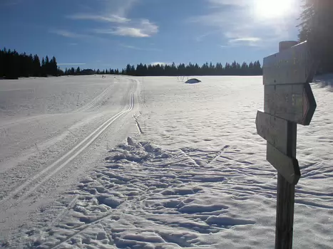 Xavier Xavier L, détail sortie