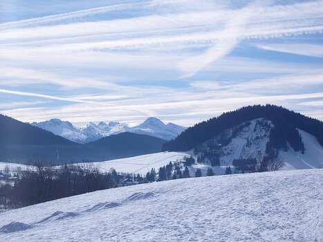 Florence Florence Le Priol, détail sortie