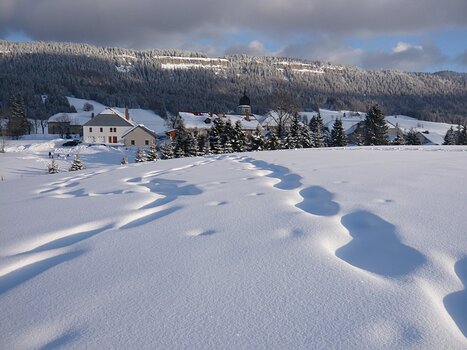 Bernadette Bernadette P, détail sortie