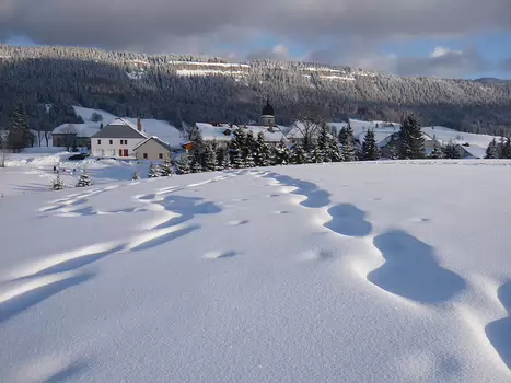 Bernadette Bernadette P, détail sortie