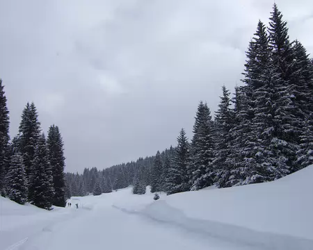 DSCF5042