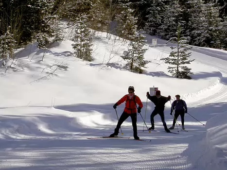 Dominique Dominique Lingk, détail sortie