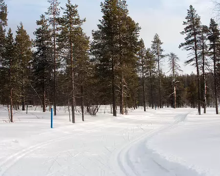 Kiilopaa, Finlande, Février 2009 Piste de ski