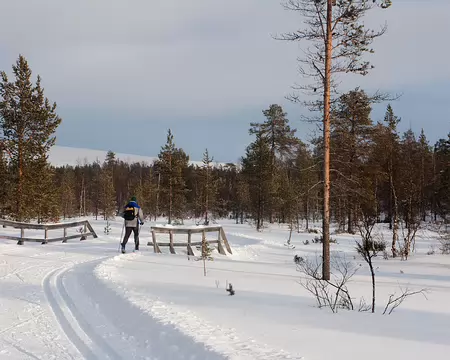 Kiilopaa, Finlande, Février 2009 Sur les pistes de Kiilopaa