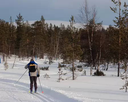 Kiilopaa, Finlande, Février 2009 Sur les pistes de Kiilopaa