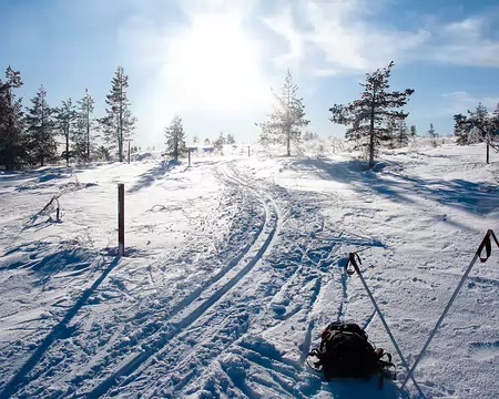 Kiilopaa, Finlande, Février 2009 Contre jour