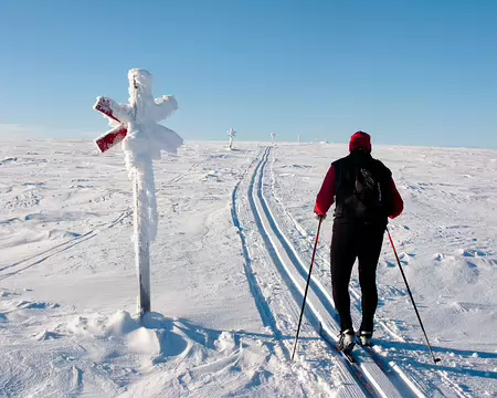 Kiilopaa, Finlande, Février 2009 Raututunturit