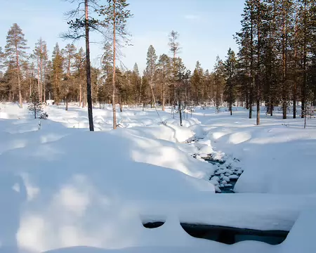 Kiilopaa, Finlande, Février 2009 Entre Vellinsarpima et Taajoslaavu